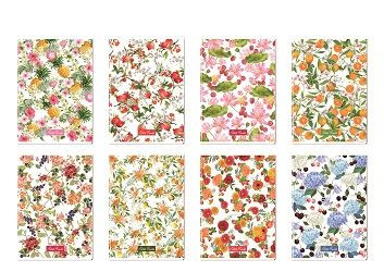 Quaderno maxi Petits Fruits Blasetti 80gr hard-TOP 5MM 10 PEZZI
